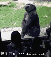 小逼崽子，我吓死你们