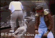 菊花一紧啊