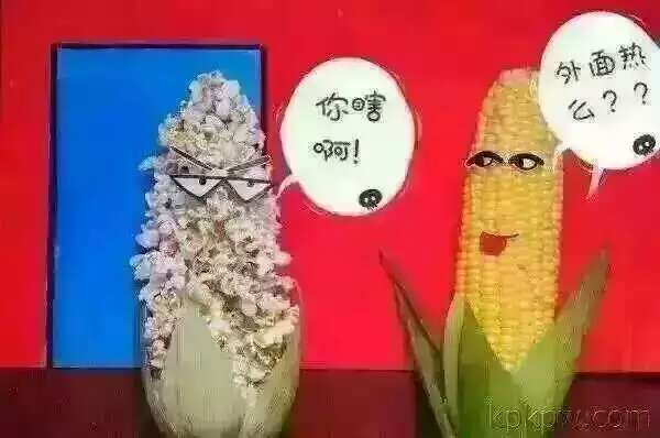 如何是好啊！！！