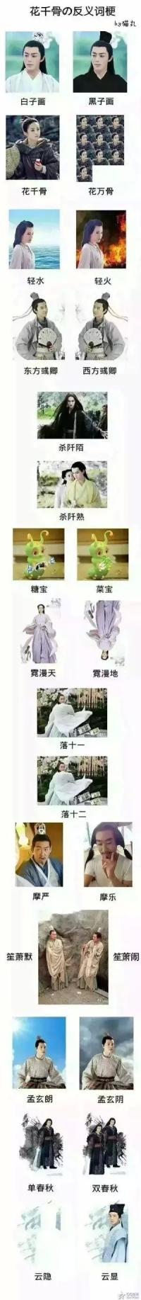 当花千骨反义词以后....