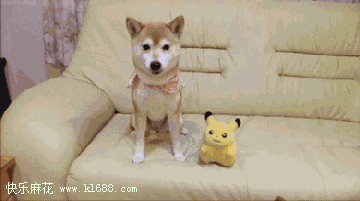 魂淡，不要抢哥的镜头