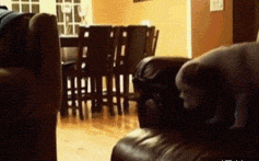 事实证明：腿短，热身做得再长也是没用的。。。