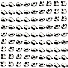 我能过，你信么？