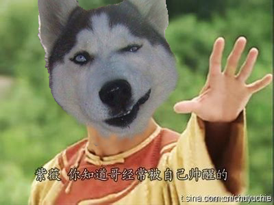 尔康已不成ren形了