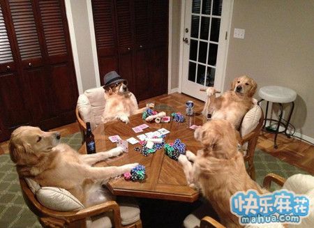 赶紧下牌赶紧下牌！