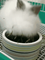 伙计们，这是什么?