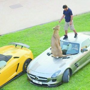 别给你老爸丢脸！