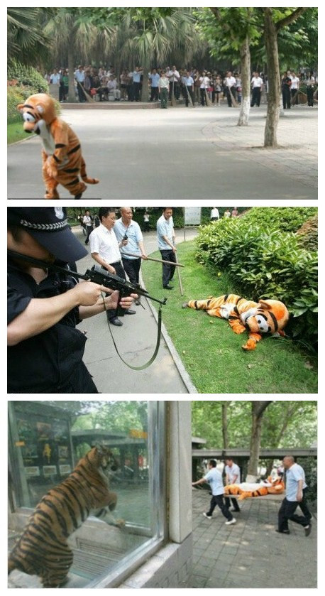 动物园是如何警告老虎不要逃跑的