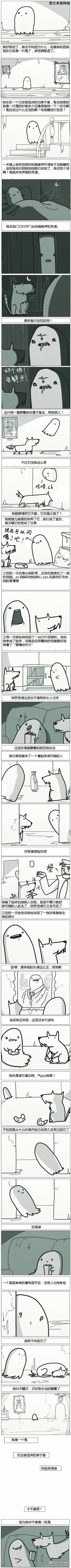 这名字，屌爆了！