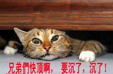 继续看小明滚。。