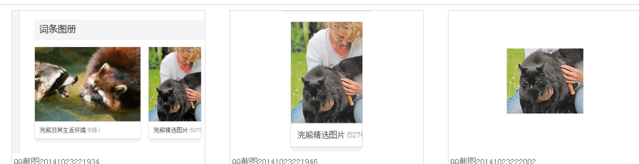 百度了下浣熊~