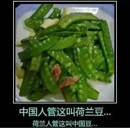 莫名戳中笑点。。。