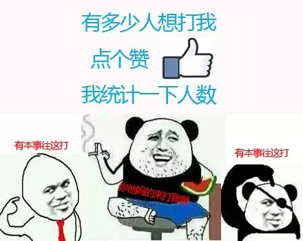 叽叽喳喳的来打我啊