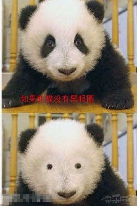 没有如果