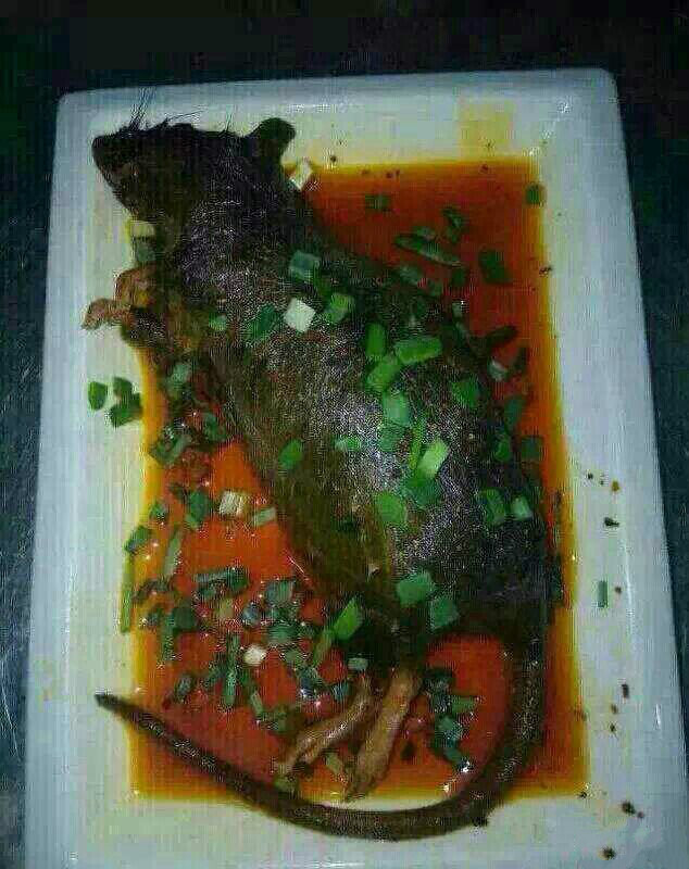 你们用饭了吗？