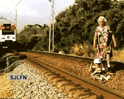 老婆婆真爱狗啊