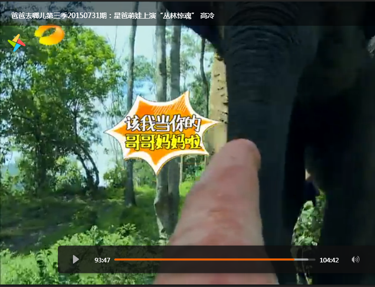 这是什么 ↓ ↓ ↓