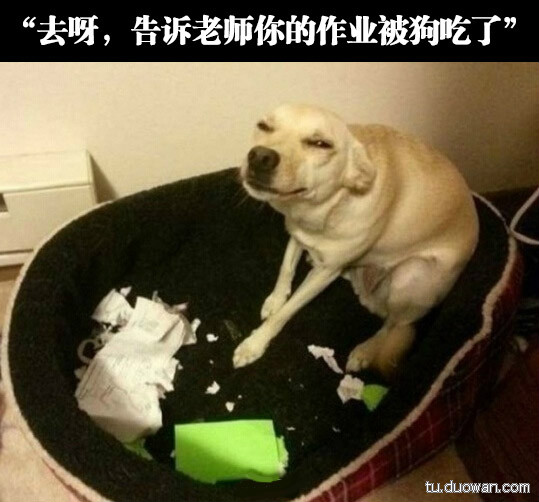 好计谋  以后发作业就这么着了