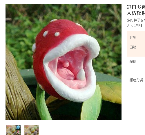 这种花也是醉了