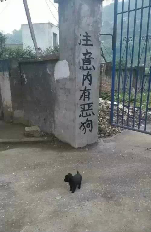 这·····  吓尿我了！