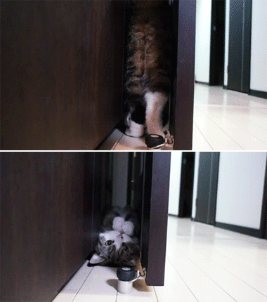 表打搅我,滚蛋，小婊砸