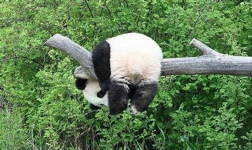 想吃什么就吃什么