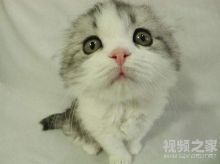 标题被河神吃了