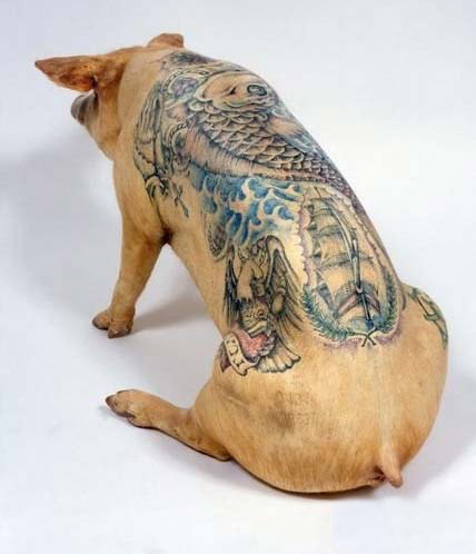 知道为什么山口组在日本那么横么