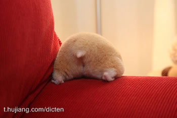 机智的哥哥。。。