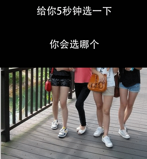 给你五秒钟，选一下