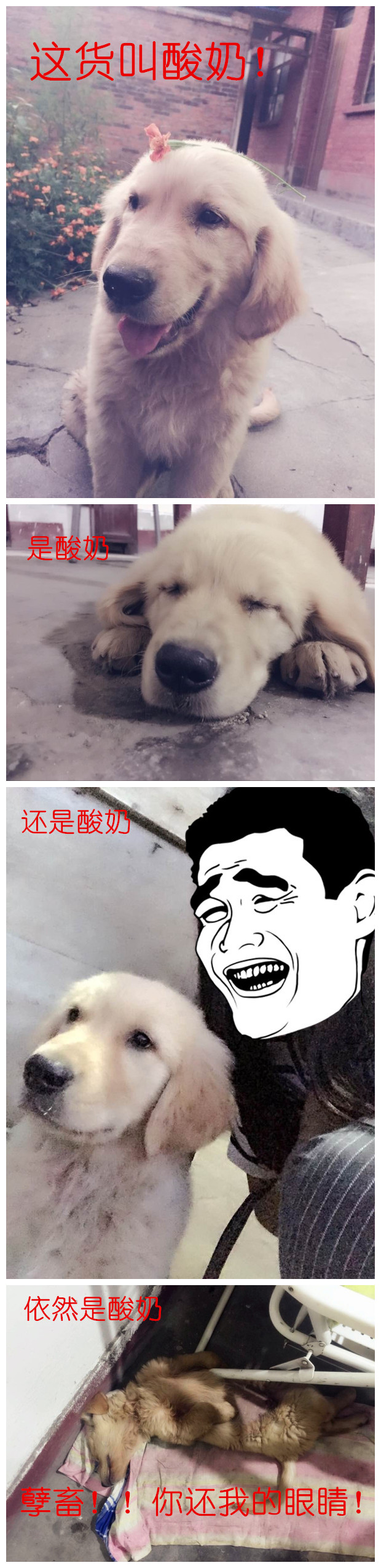 然而睡姿暴露了一切。