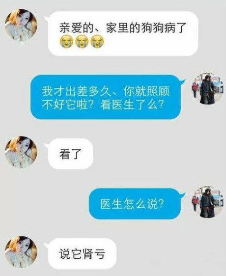 可怜的狗狗……