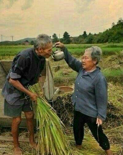 呜呜呜呜呜呜