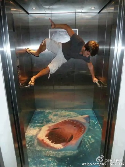 大哥。你把电梯改成海洋馆了