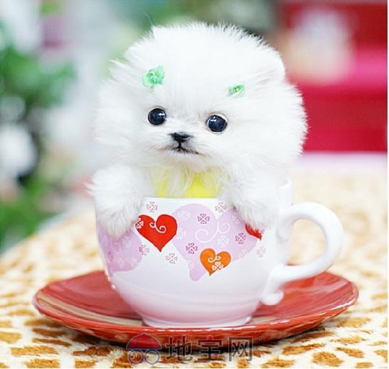 诶。。。。。。