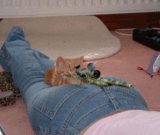 真是个射击的好地方啊