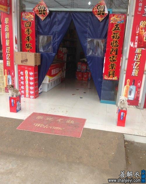 刚刚买了两个雄狮放在门口，感受怪怪的，我是不是受骗了？