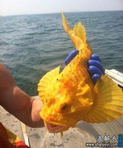 这是.奔.波.霸.还是霸.波.奔