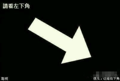 我和我的小伙伴们都惊呆啦！！