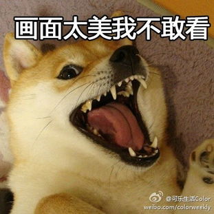 标题什么的向来是被吃的，鸡肉味嘎嘣脆，噢耶