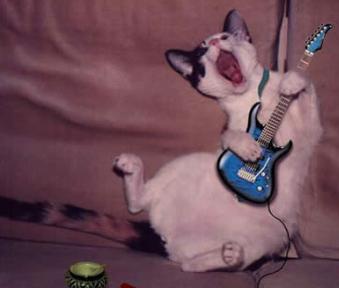 让我们一起摇滚吧