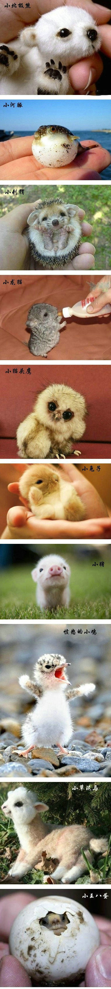 亮点总在最后面