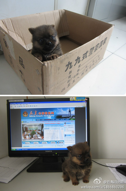 么么哒~求赞，有qq的加群243899497谢谢