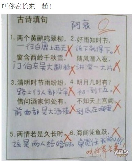 少年的考卷