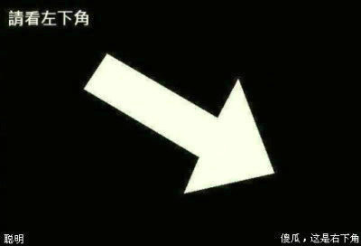 被耍的顶
