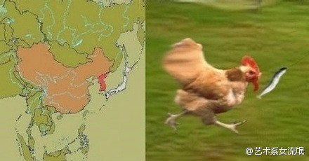 真像，日本只是一条猥琐的鱼
