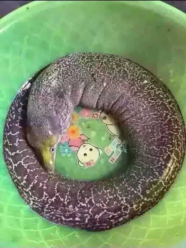 看看这是什么东西 求解答 求过