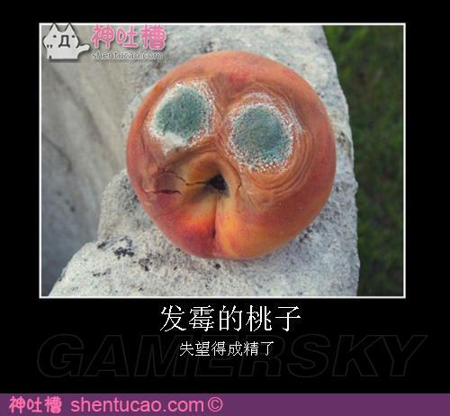 坏橘子呢？