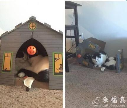 第三者插足导致家庭破碎