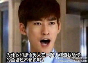 不一样的张翰